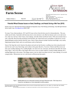 Farm Scene - AgriLife Extension County Offices