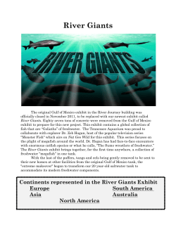 River Giants - Tennessee Aquarium