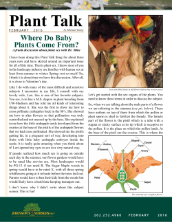 Plant Talk - Johnsons Nursery