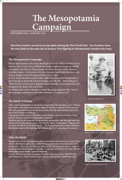 The War in Mesopotomia