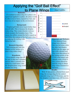Applying the &ldquo;Golf Ball Effect&rdquo; to Plane Wings