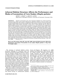 Arboreal habitat structure affects the performance and modes of