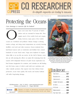Protecting the Oceans