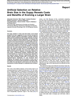 Artificial Selection on Relative Brain Size in the Guppy Reveals