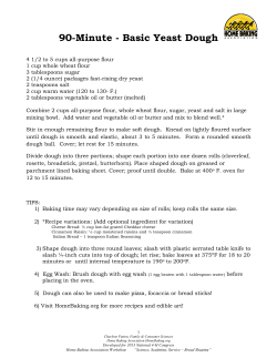 90-Minute - Basic Yeast Dough