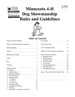 Minnesota 4-H Dog Showmanship Rules and Guidelines