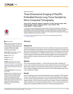 Three Dimensional Imaging of Paraffin Embedded Human Lung