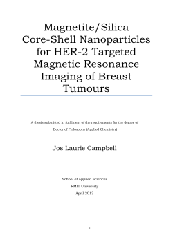 Magnetite/Silica Core-Shell Nanoparticles for HER