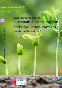 Sustainable Consumption and Production Patterns