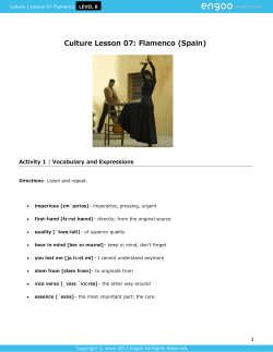 Culture Lesson 07: Flamenco (Spain)