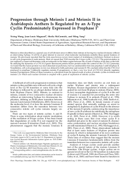 Progression through Meiosis I and Meiosis II in Arabidopsis Anthers