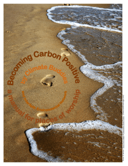 Becoming Carbon Positive