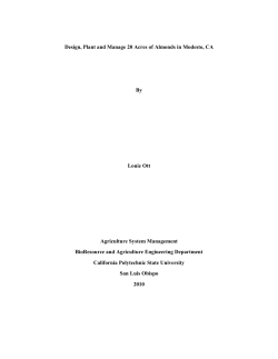 Design, Plant and Manage 20 Acres of Almonds