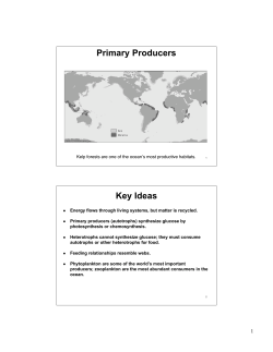 Primary Producers Key Ideas