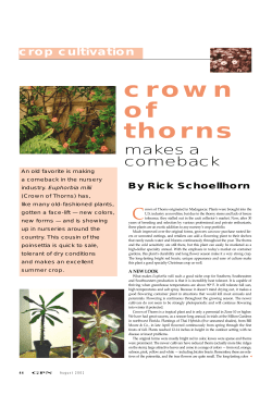 Crown of Thorns - University of Florida