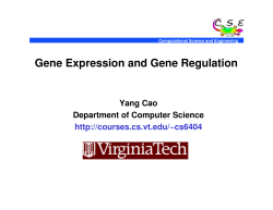 Gene Expression and Gene Regulation Network