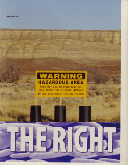 The Right Bugs - Bijal Trivedi