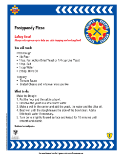 Pizza Dough &bull; 1lb Flour &bull; 1 tsp. Fast Action Dried Yeast or 1/4 cup