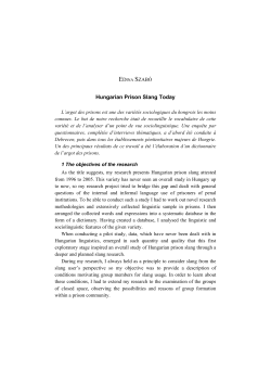 Hungarian Prison Slang Today