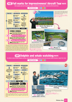 H8 Full marks for impressiveness! Aircraft TourROUTE H9 Dolphin