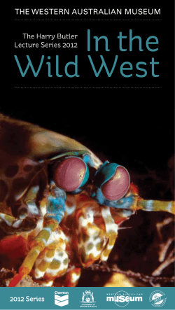 THE WESTERN AUSTRALIAN MUSEUM