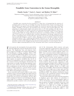 Nonallelic Gene Conversion in the Genus Drosophila