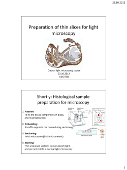 Preparation of thin scices for light microscopy
