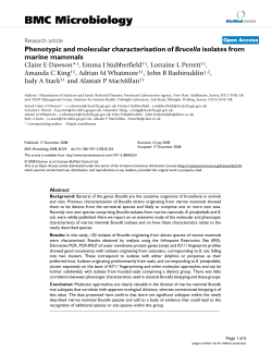Phenotypic and molecular characterisation of Brucella isolates from