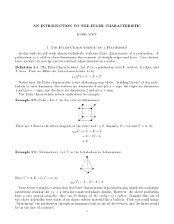 an introduction to the euler characteristic