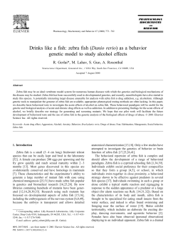 Drinks like a fish: zebra fish (Danio rerio) as a behavior genetic
