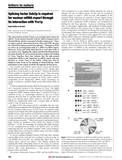 Splicing factor Sub2p is required for nuclear mRNA export through