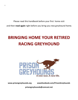 Prison Greyhounds, Inc.