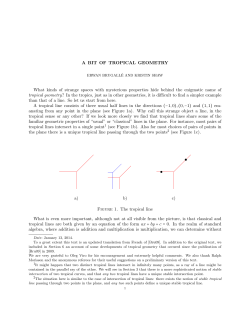 A BIT OF TROPICAL GEOMETRY What kinds of