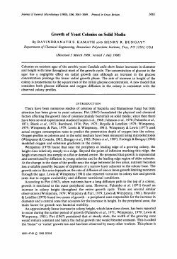 Growth of Yeast Colonies on Solid Media
