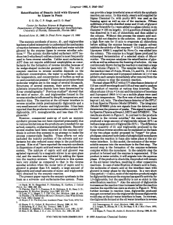 Esterification of Stearic Acid with Glycerol by Lipase in Foam The