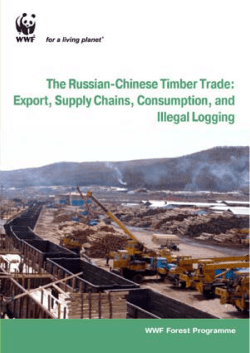 The Russian-Chinese timber trade