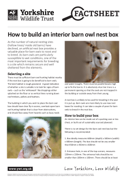 How to build an interior nest box for a barn owl