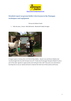 Detailed report on groom Kellie`s first lesson in