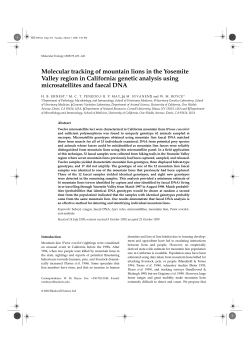 Molecular tracking of mountain lions in the Yosemite