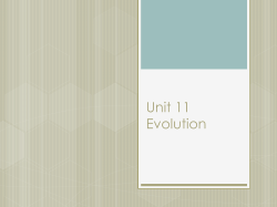 Unit 11 Evolution