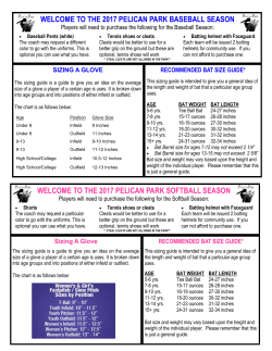 2017 CHEAT SHEET for Baseball and Softball