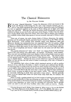 The Classical Rhinoceros