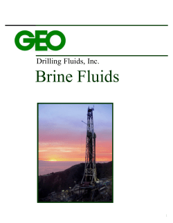 Printer-Friendly Version