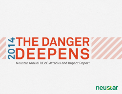 2014 - Neustar Annual DDoS Attacks and Impact Report