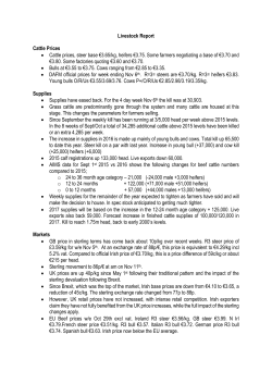 Livestock Report Cattle Prices &bull; Cattle prices, steer base &euro;3.65/kg