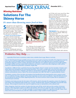 Solutions For The Skinny Horse - Kauffman`s Animal Health, Inc.