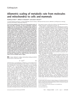 Allometric scaling of metabolic rate from molecules and