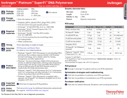 Platinum Taq DNA Polymerase