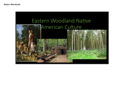 Eastern Woodlands - Plain Local Schools