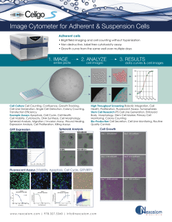 Celigo Flyer